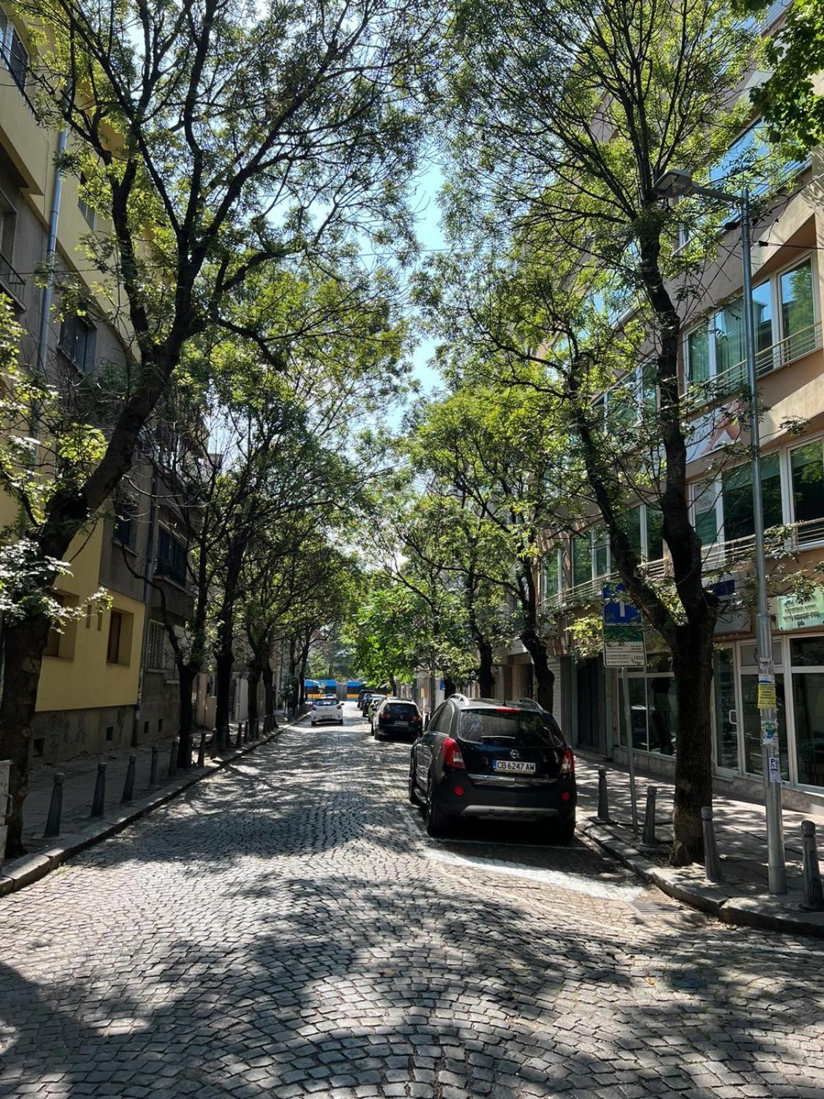 Διαμέρισμα Raya *